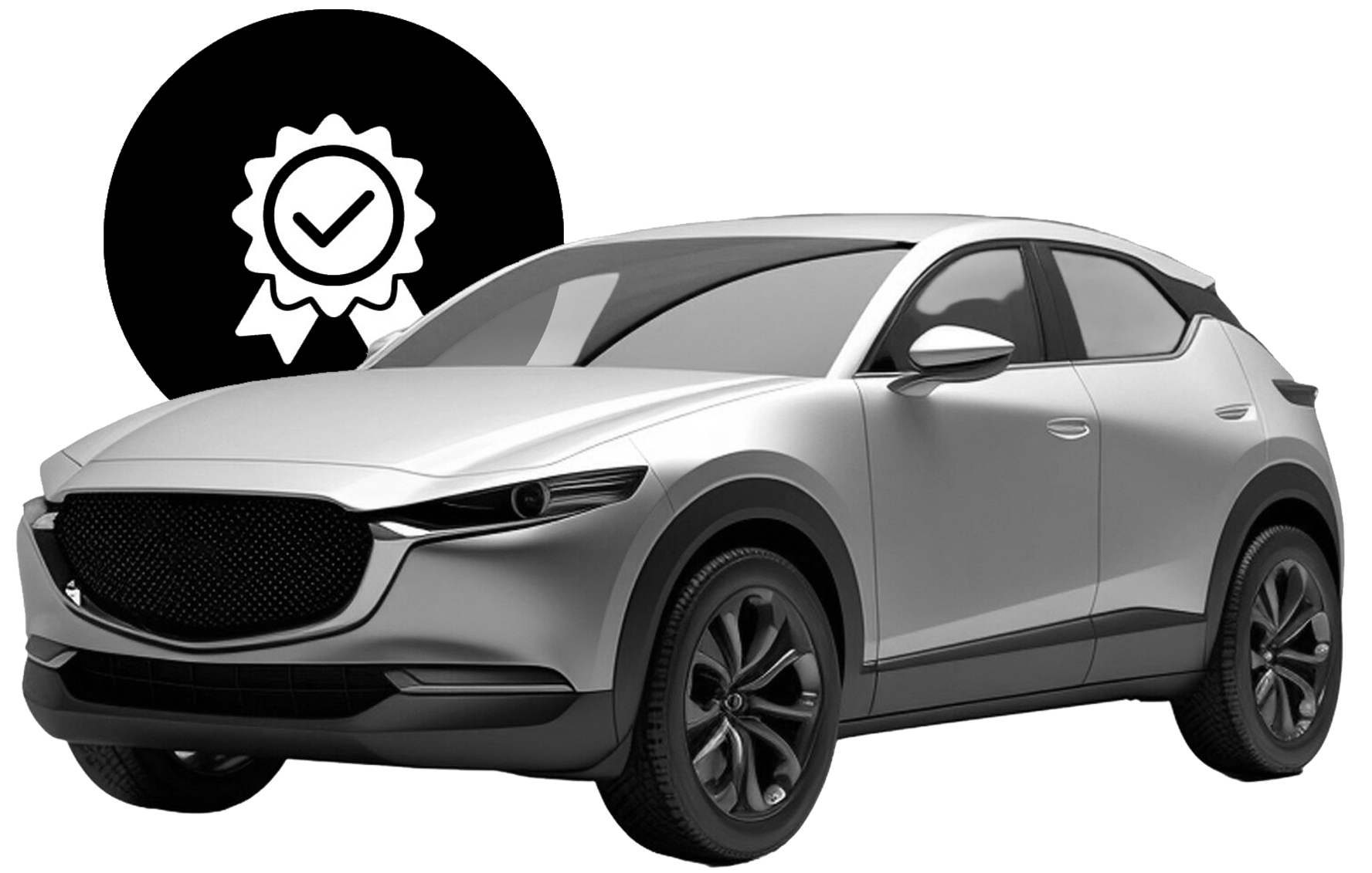 Coches Acondicionados